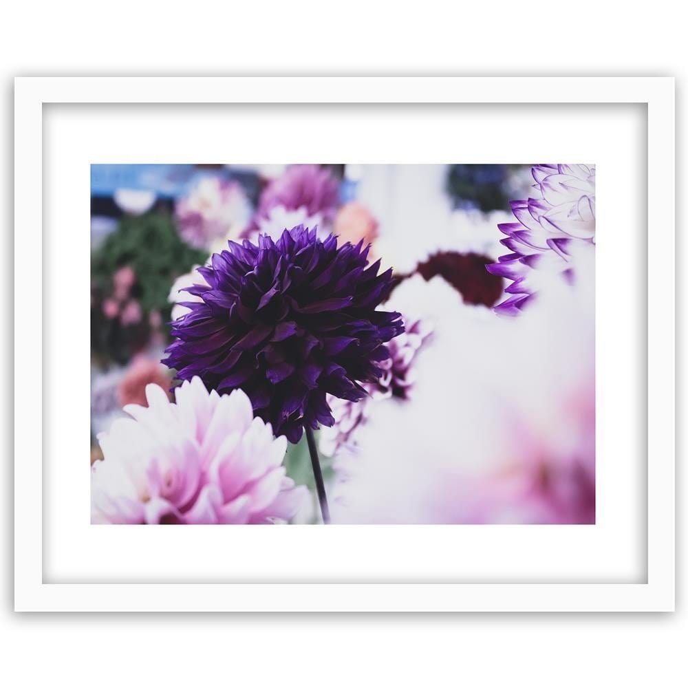 Glezna baltā rāmī - Dahlias  Home Trends DECO