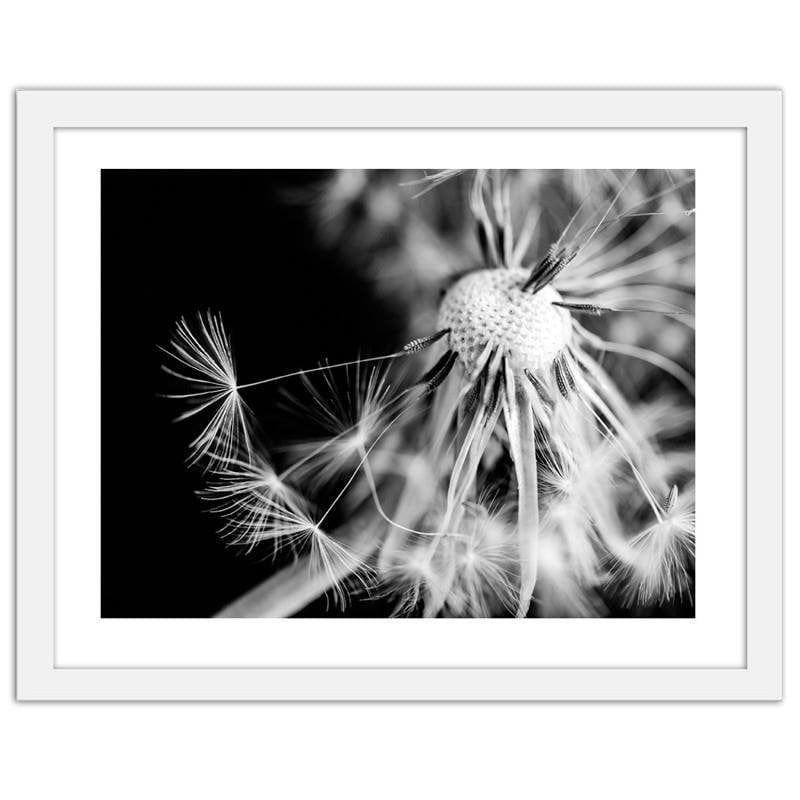 Glezna baltā rāmī - Dandelion 2  Home Trends DECO