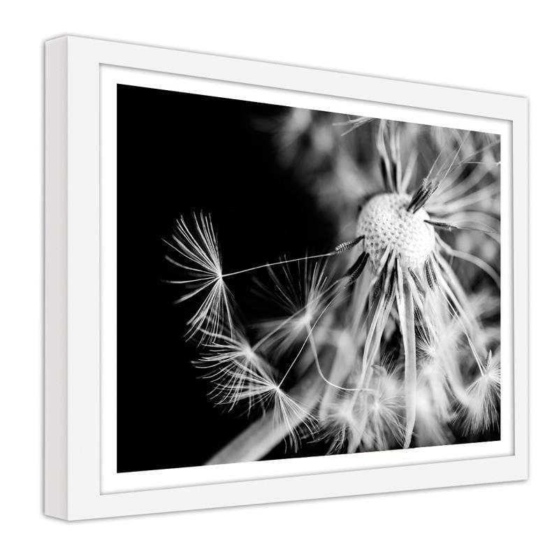 Glezna baltā rāmī - Dandelion 2  Home Trends DECO