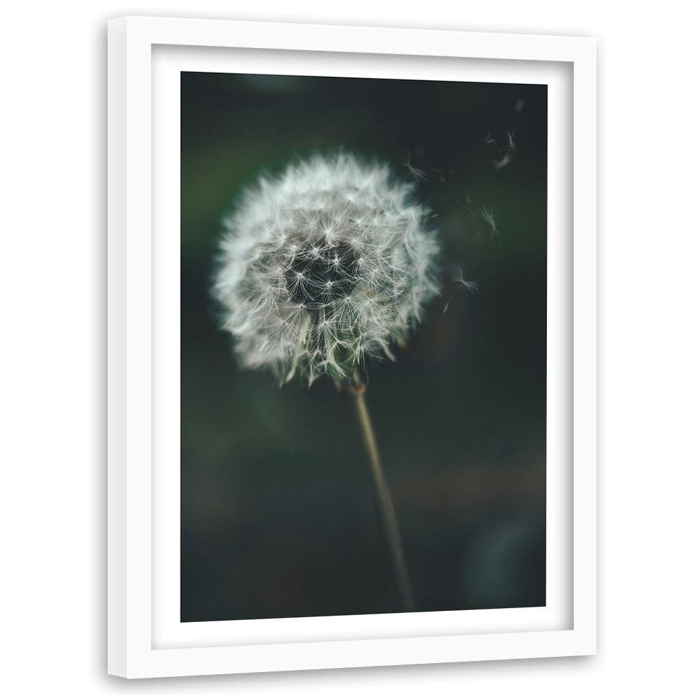 Glezna baltā rāmī - Dandelion  Home Trends DECO