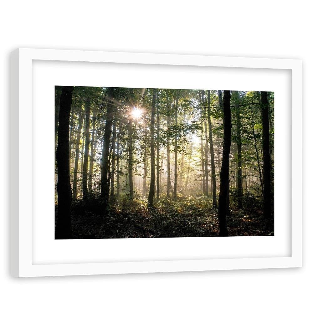 Glezna baltā rāmī - Dark Dense Forest  Home Trends DECO