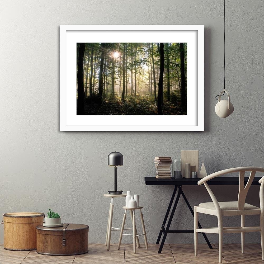 Glezna baltā rāmī - Dark Dense Forest  Home Trends DECO