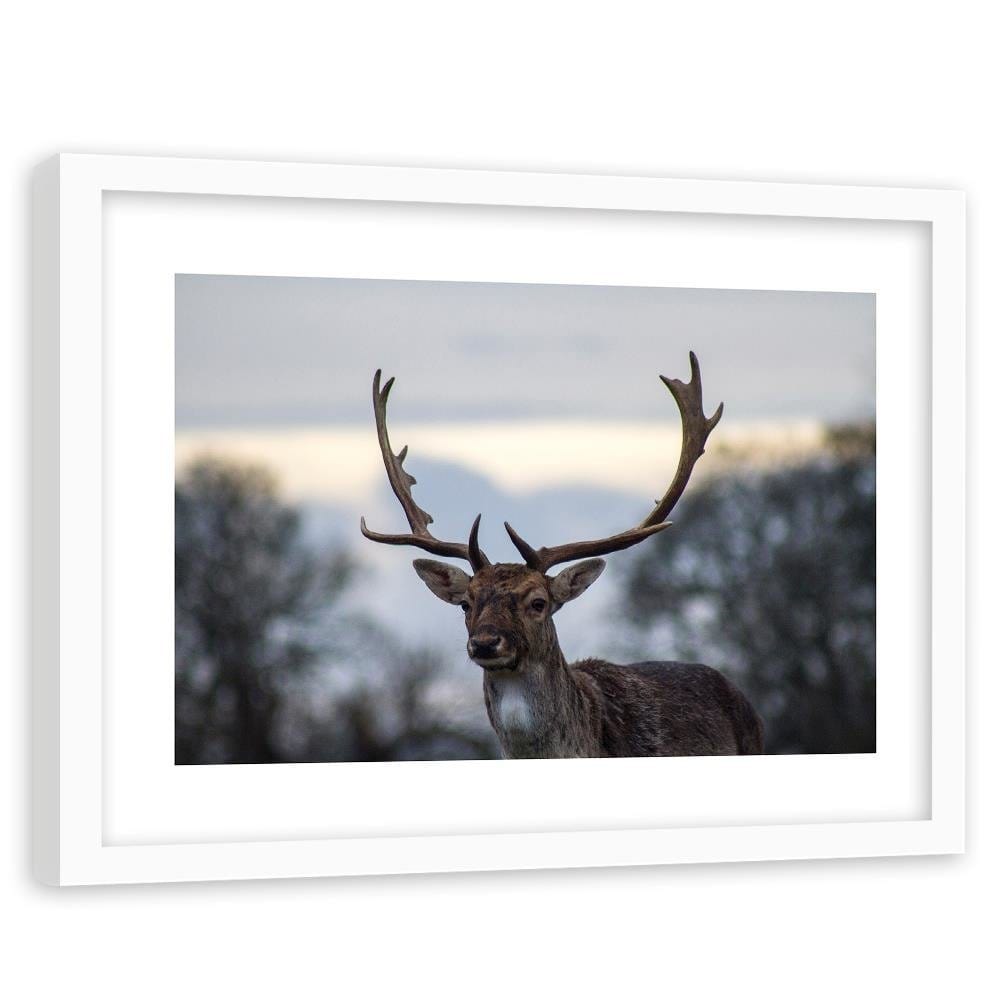 Glezna baltā rāmī - Deer  Home Trends DECO