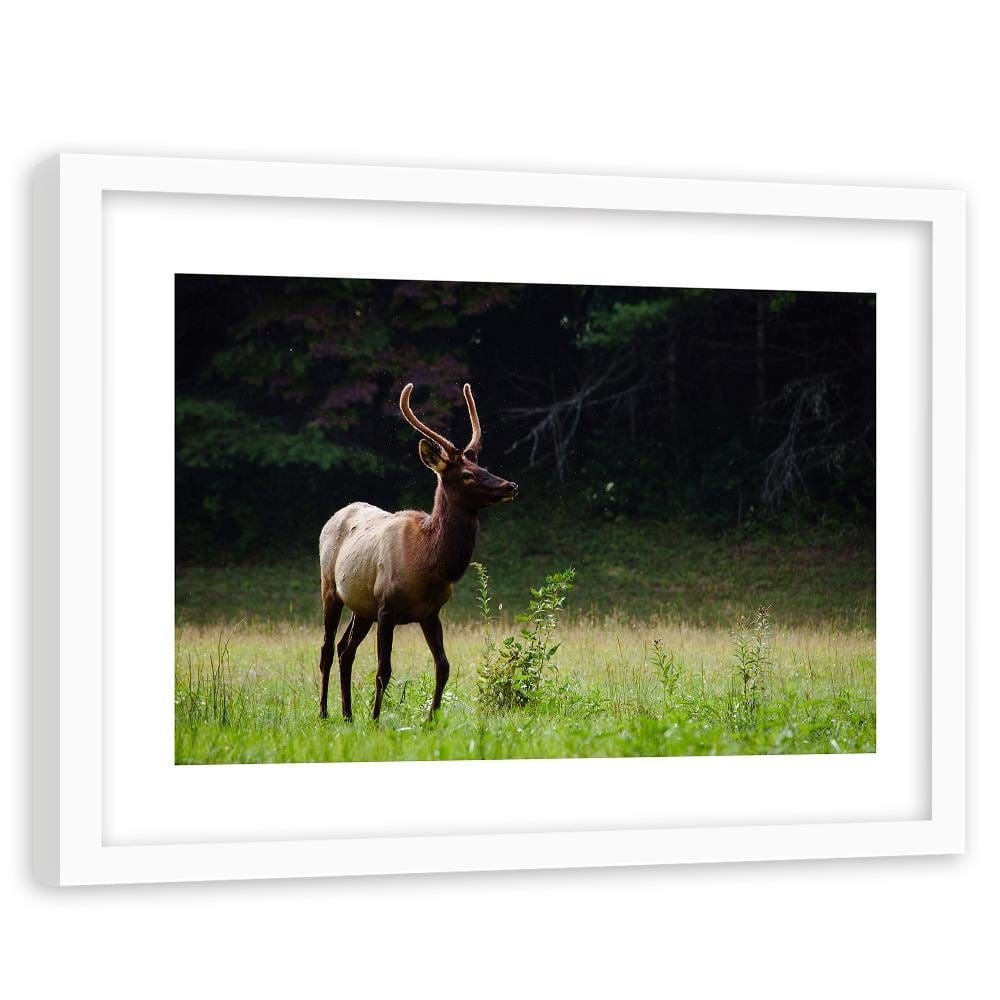 Glezna baltā rāmī - Deer In The Meadow  Home Trends DECO