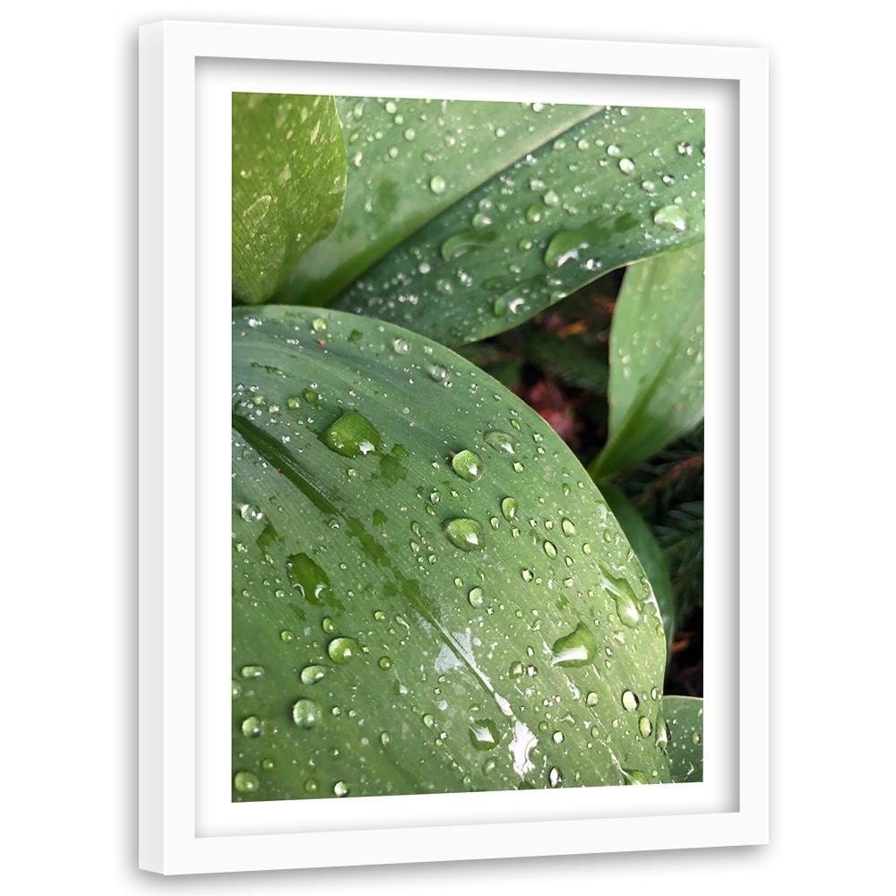 Glezna baltā rāmī - Dew On The Green Leaf  Home Trends DECO