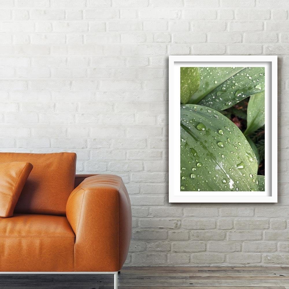 Glezna baltā rāmī - Dew On The Green Leaf  Home Trends DECO