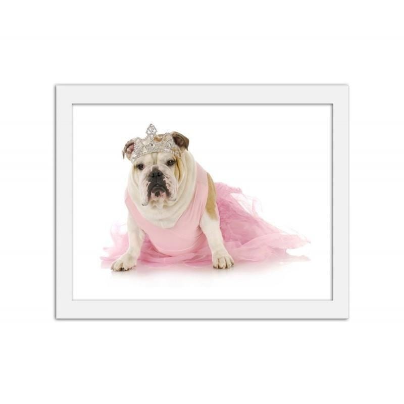 Glezna baltā rāmī - Dog princess  Home Trends DECO