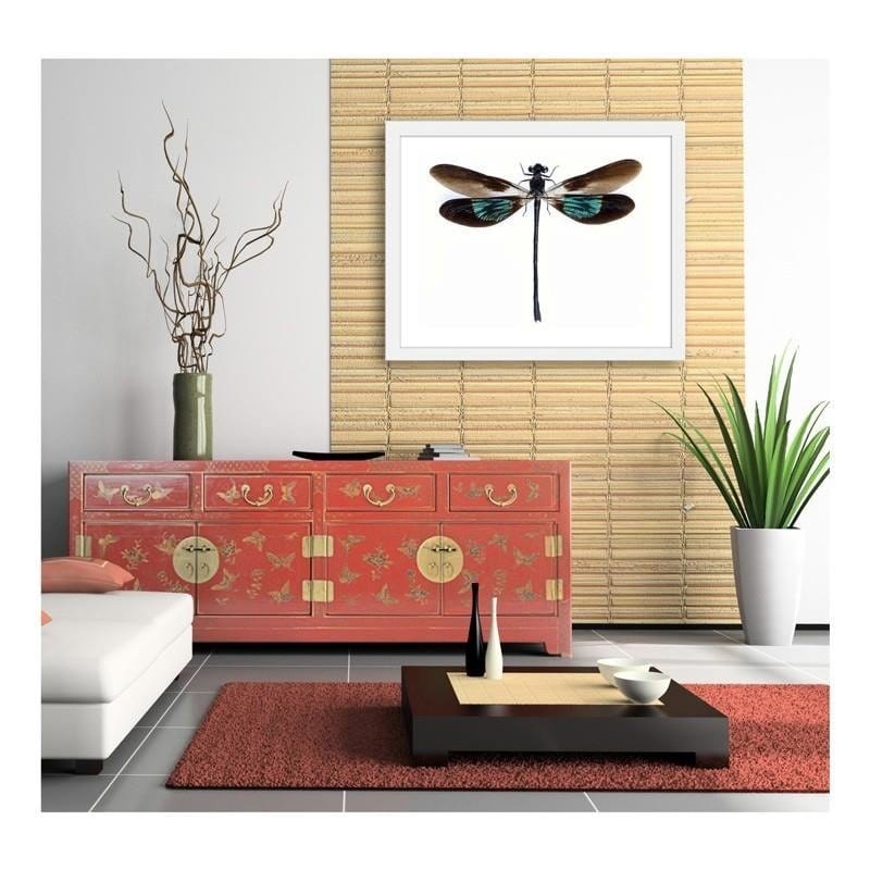 Glezna baltā rāmī - Dragonfly  Home Trends DECO