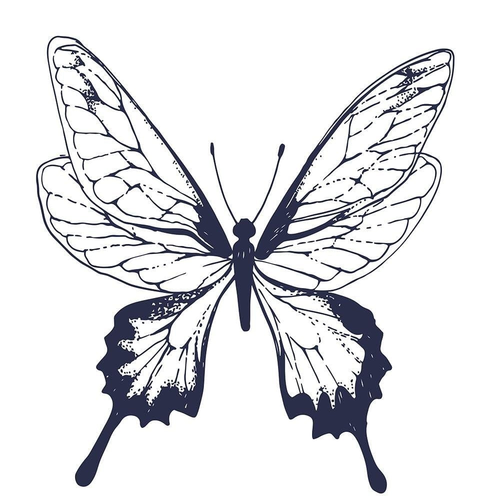 Glezna baltā rāmī - Drawn Butterfly  Home Trends DECO