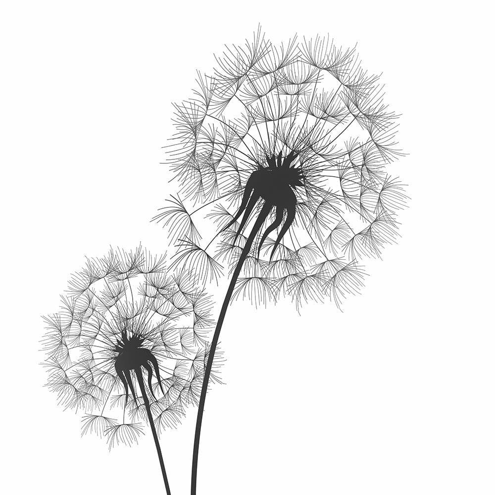 Glezna baltā rāmī - Drawn Two Dandelions  Home Trends DECO