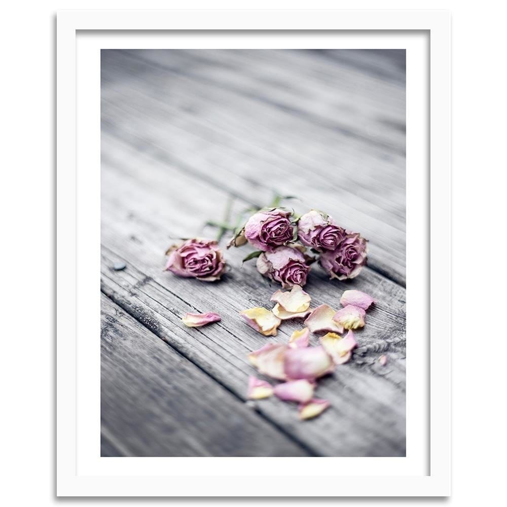 Glezna baltā rāmī - Dried Roses  Home Trends DECO