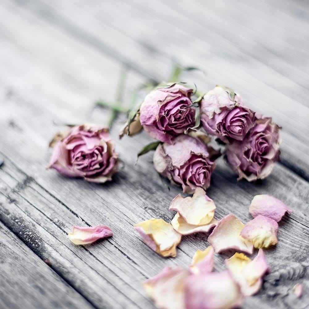 Glezna baltā rāmī - Dried Roses  Home Trends DECO