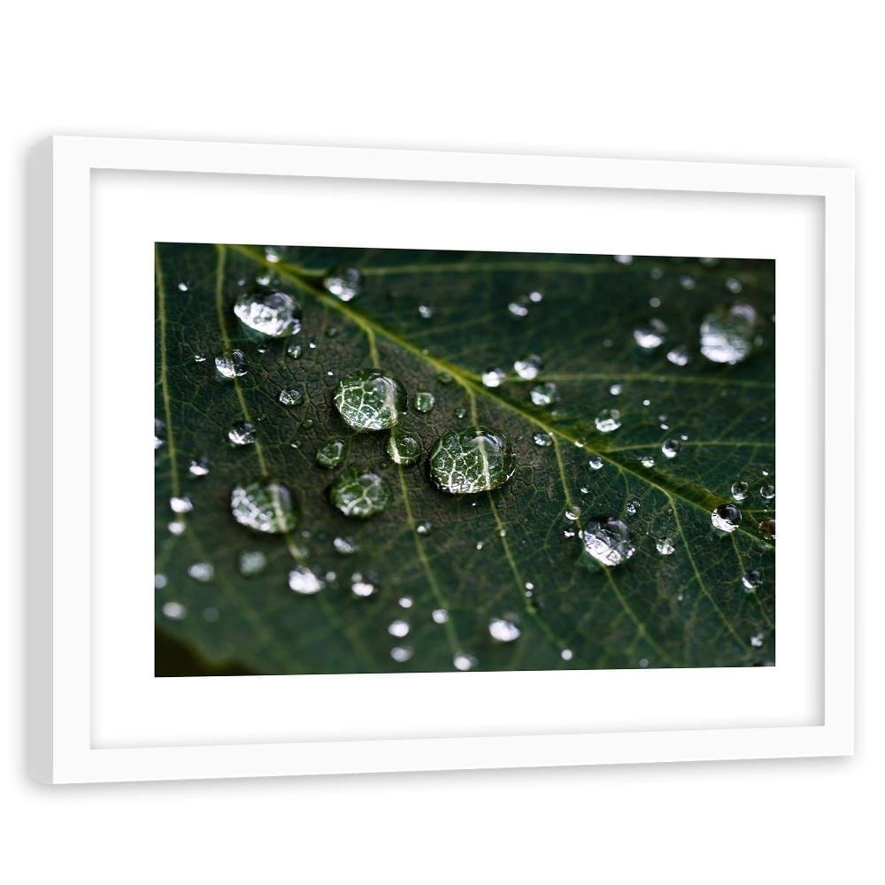 Glezna baltā rāmī - Drops On The Leaves  Home Trends DECO