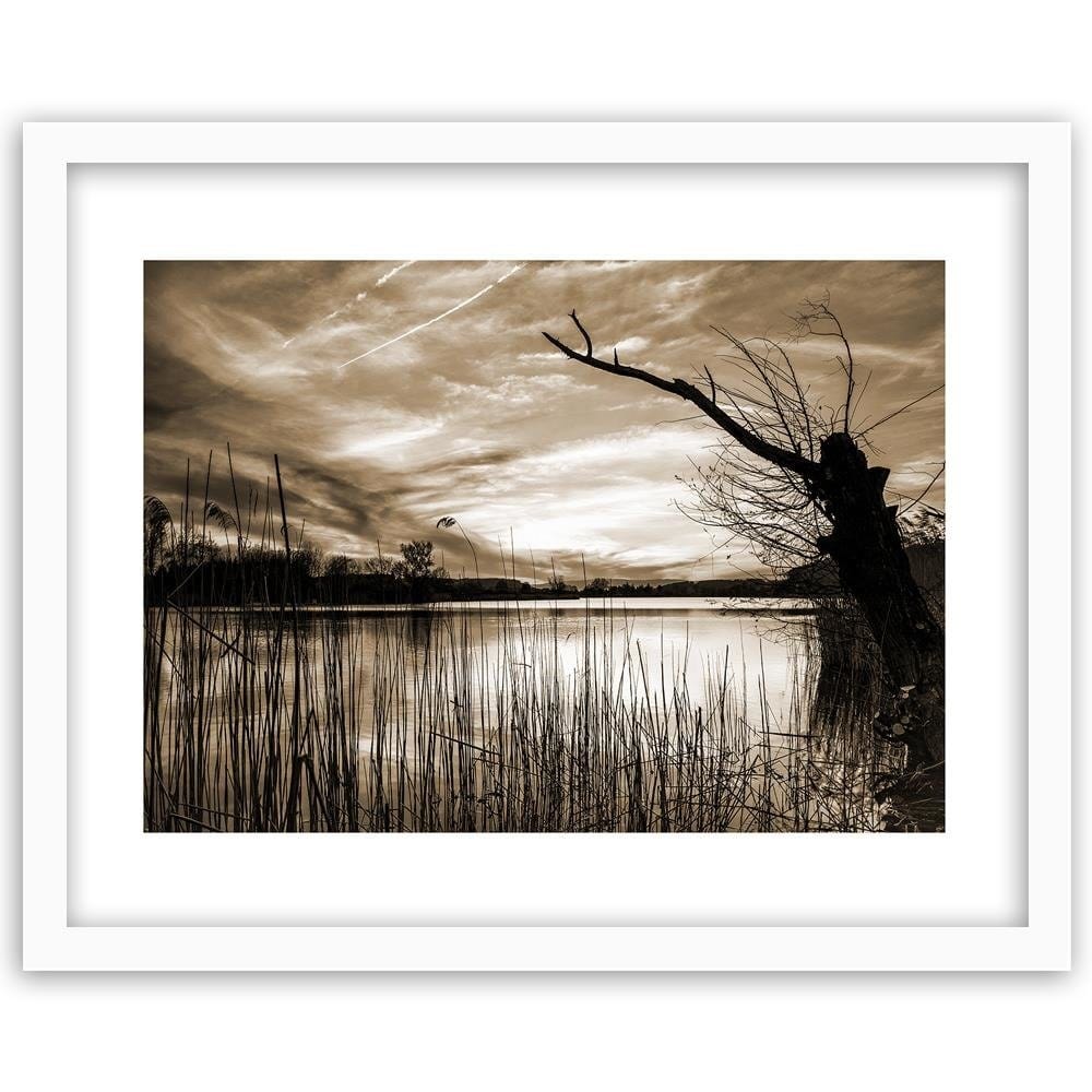Glezna baltā rāmī - Dry Tree On The Lake 1  Home Trends DECO