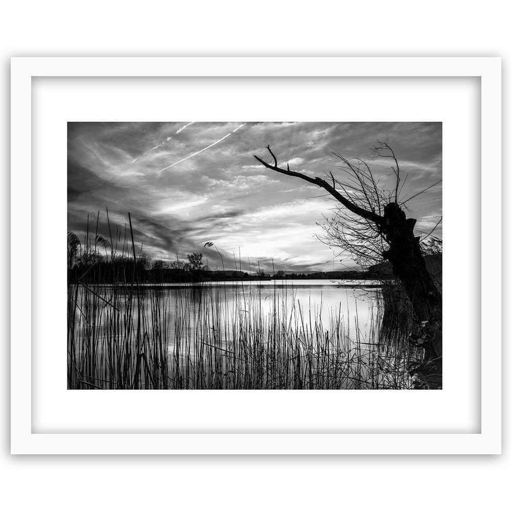 Glezna baltā rāmī - Dry Tree On The Lake 2  Home Trends DECO