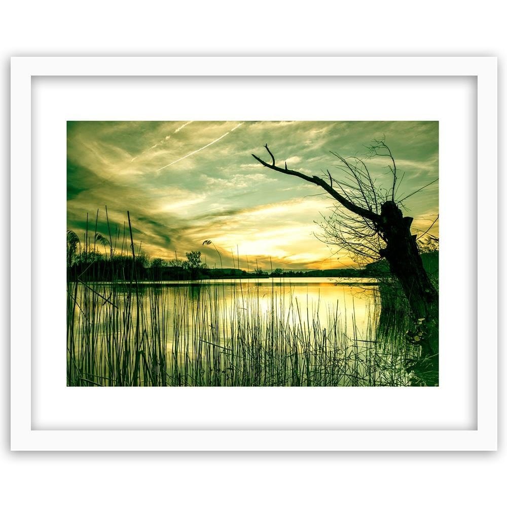 Glezna baltā rāmī - Dry Tree On The Lake  Home Trends DECO
