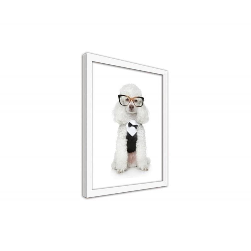 Glezna baltā rāmī - Elegant dog  Home Trends DECO