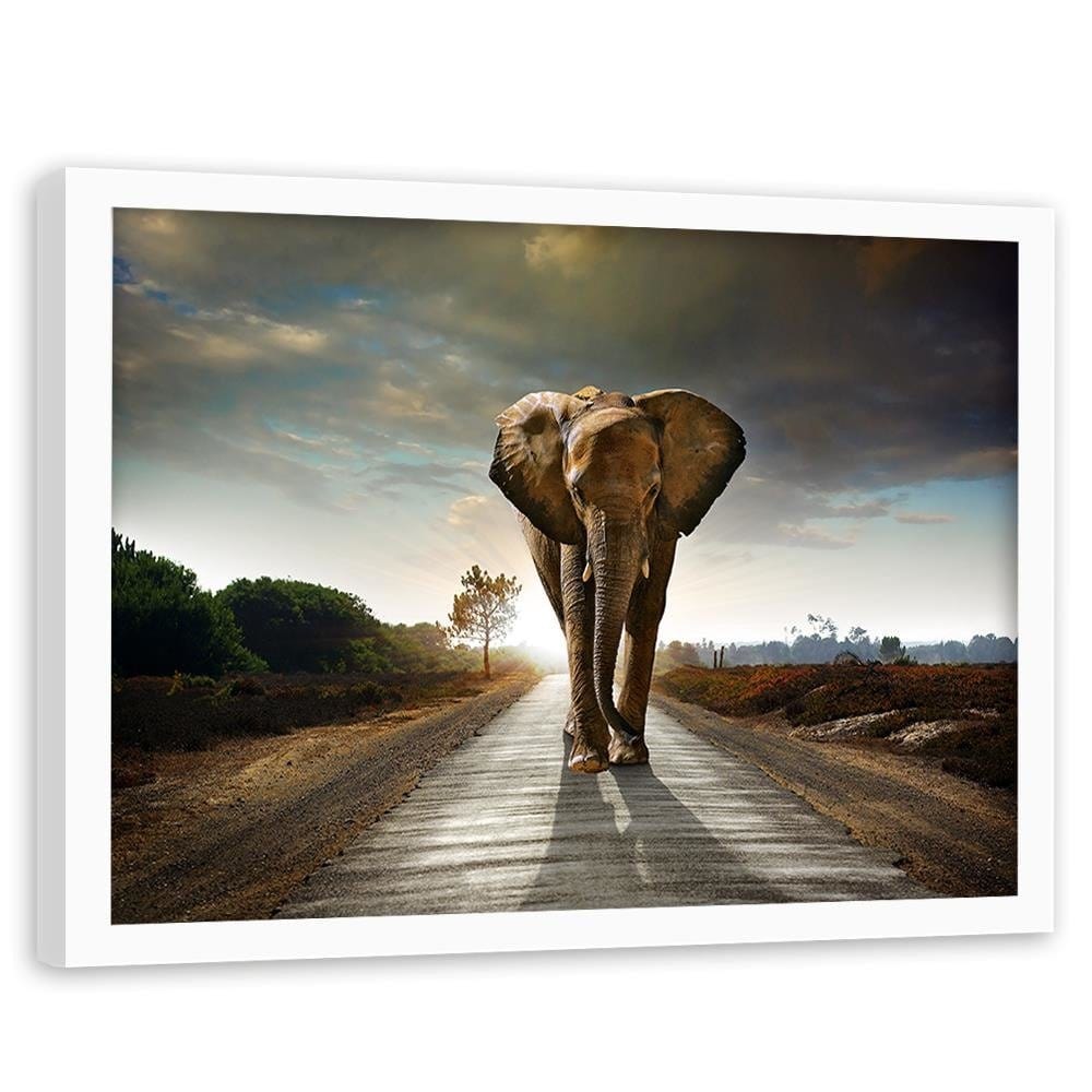 Glezna baltā rāmī - Elephant On The Road  Home Trends DECO