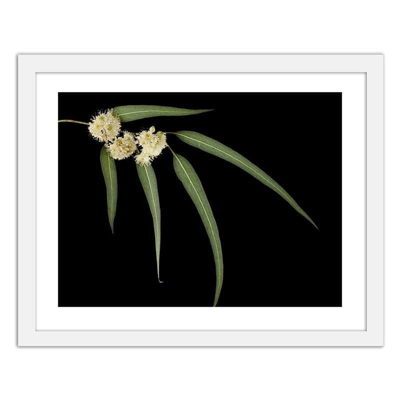 Glezna baltā rāmī - Eucalyptus  Home Trends DECO