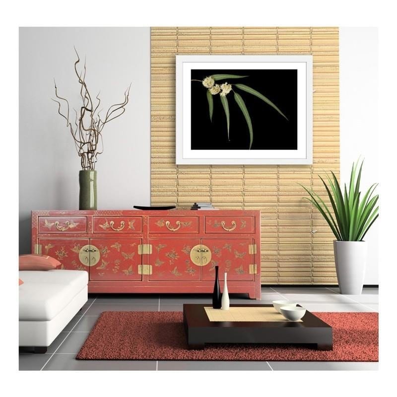 Glezna baltā rāmī - Eucalyptus  Home Trends DECO