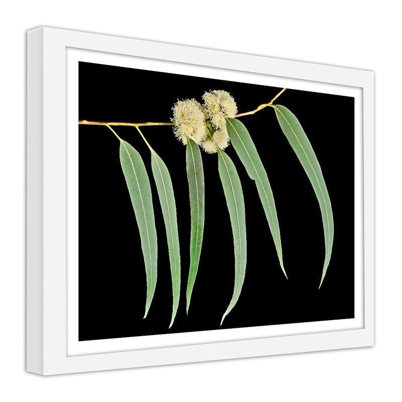 Glezna baltā rāmī - Eucalyptus leaves  Home Trends DECO