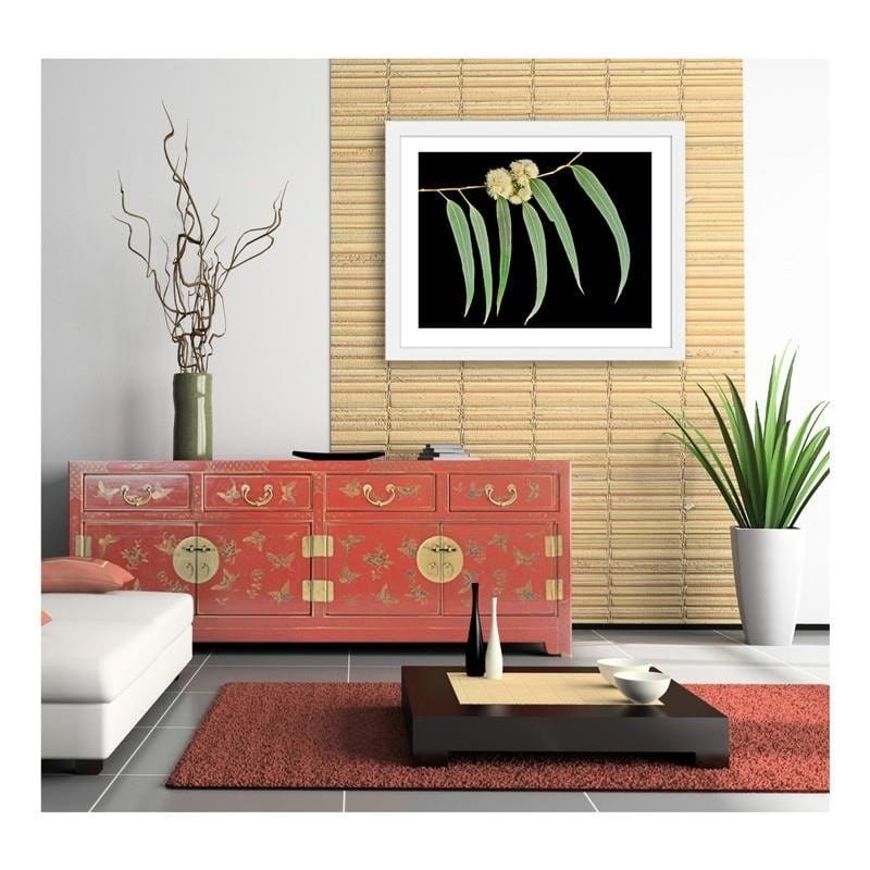 Glezna baltā rāmī - Eucalyptus leaves  Home Trends DECO