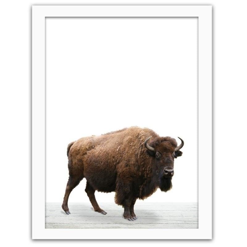 Glezna baltā rāmī - European bison  Home Trends DECO