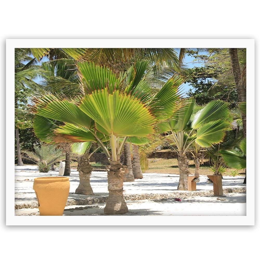 Glezna baltā rāmī - Exotic Beach  Home Trends DECO