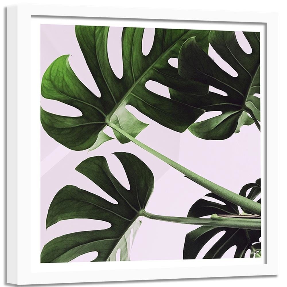 Glezna baltā rāmī - Exotic Leaves Monstera 1  Home Trends DECO