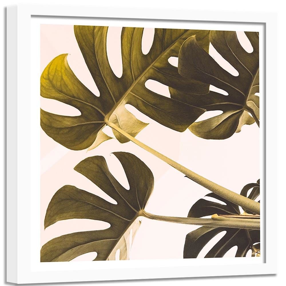 Glezna baltā rāmī - Exotic Leaves Monstera 2  Home Trends DECO