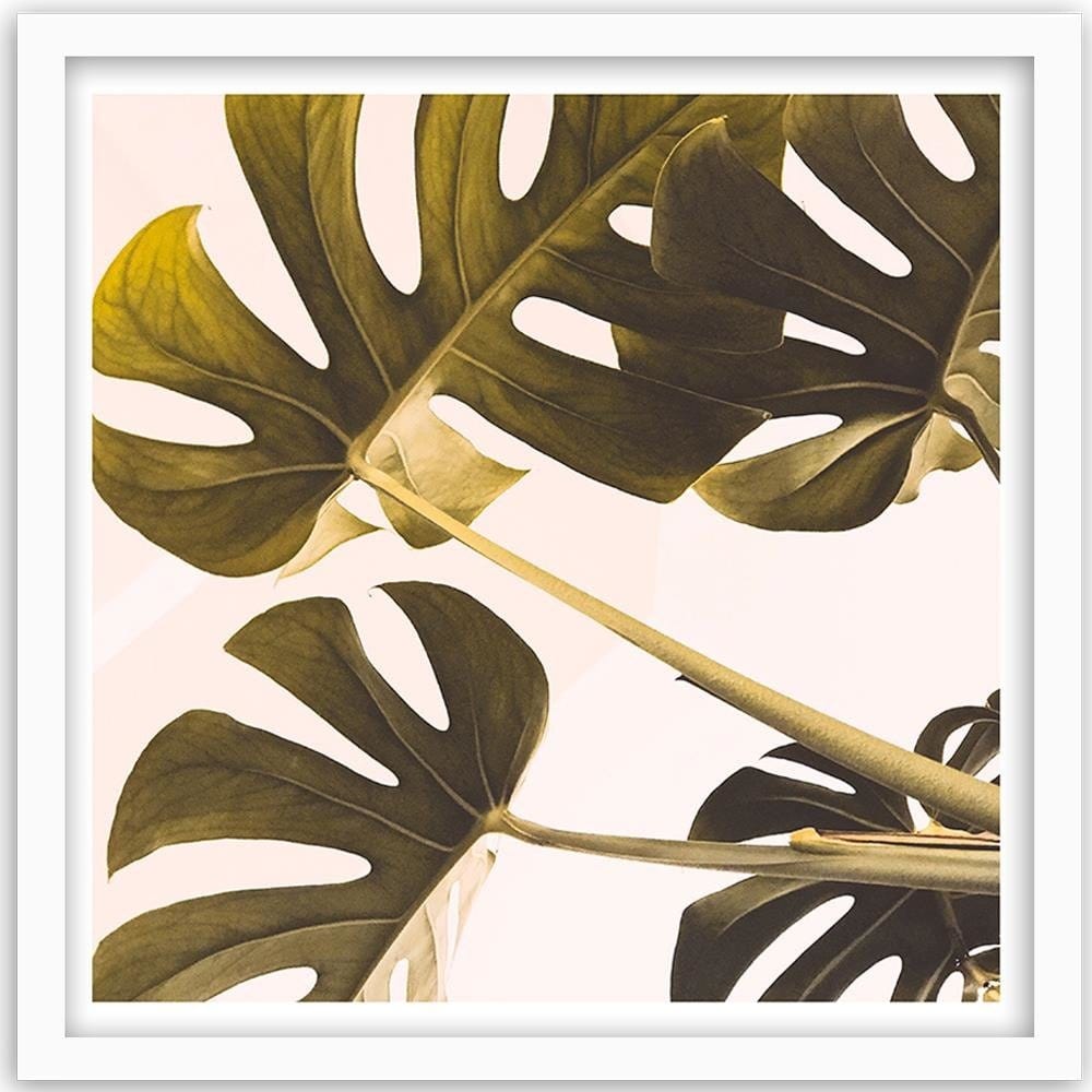 Glezna baltā rāmī - Exotic Leaves Monstera 2  Home Trends DECO