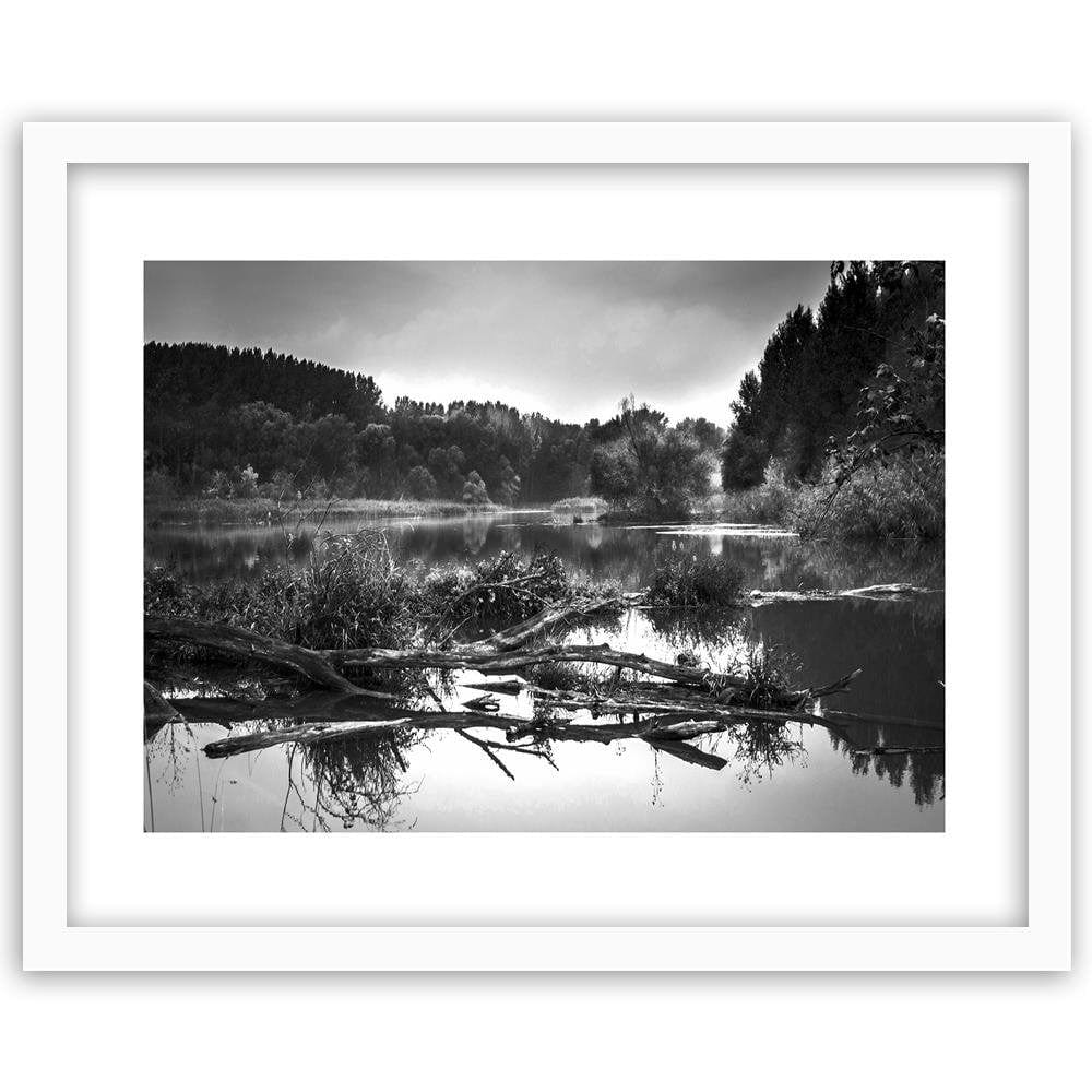 Glezna baltā rāmī - Fallen Tree In The Lake 2  Home Trends DECO