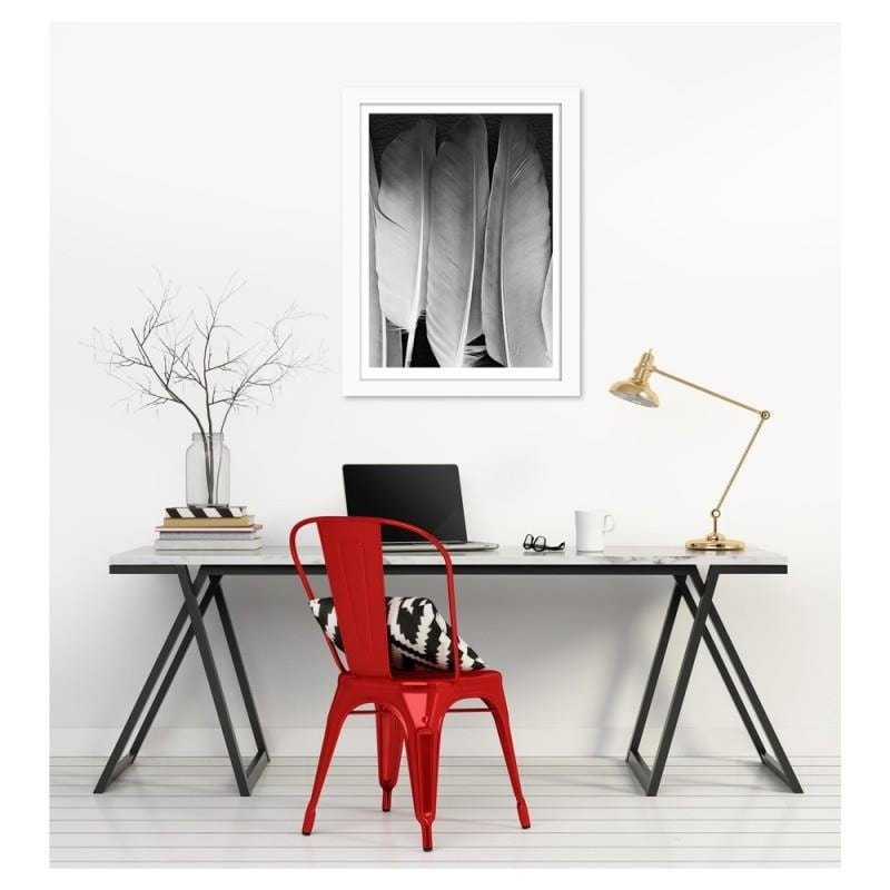 Glezna baltā rāmī - Feathers in black and white  Home Trends DECO
