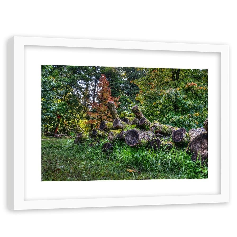 Glezna baltā rāmī - Felled Tree Trunks  Home Trends DECO