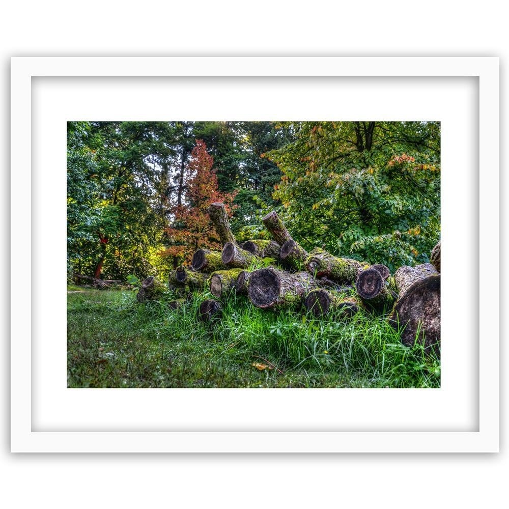 Glezna baltā rāmī - Felled Tree Trunks  Home Trends DECO