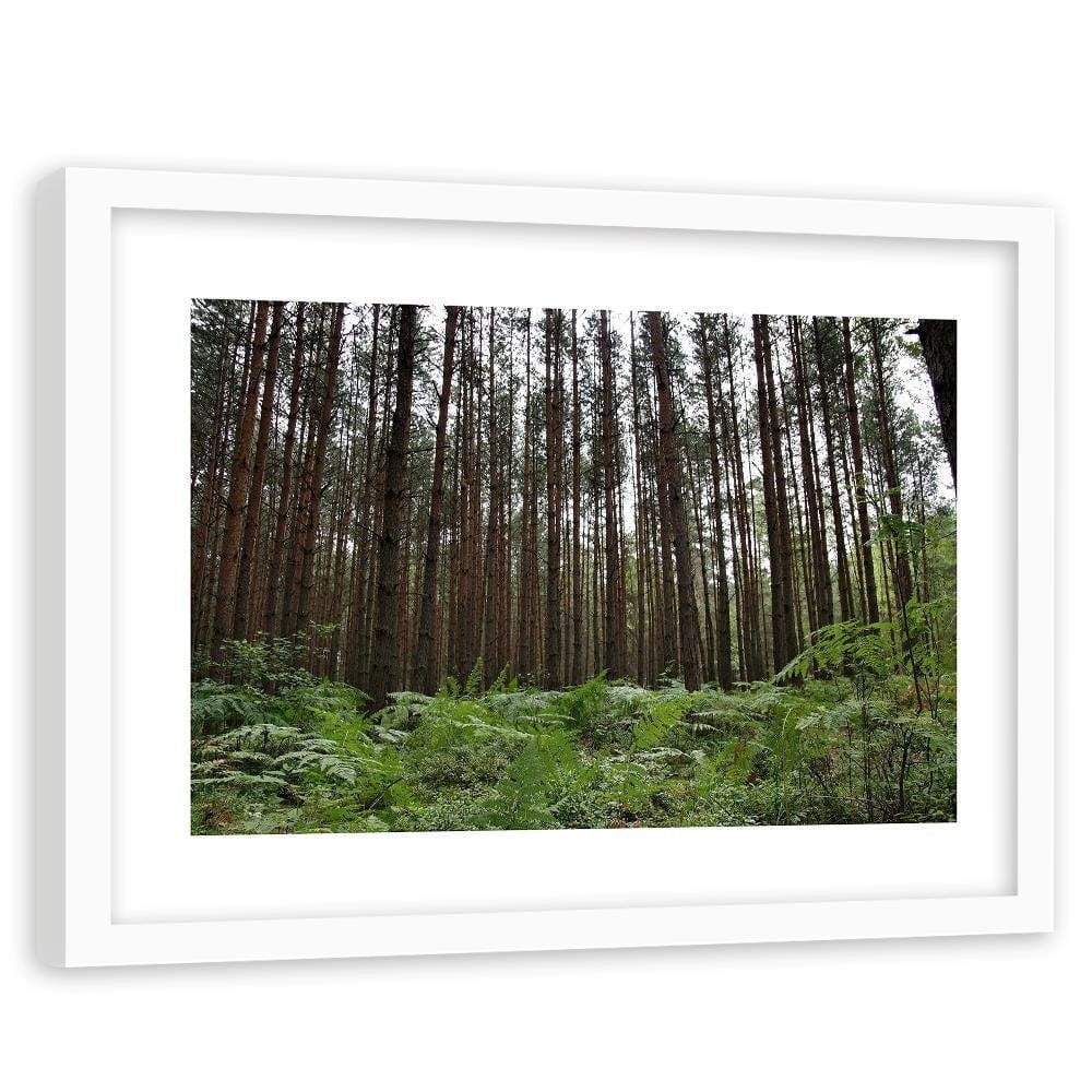 Glezna baltā rāmī - Ferns In The Forest  Home Trends DECO