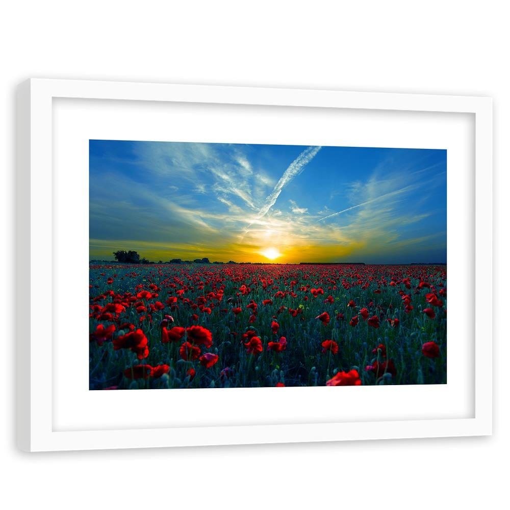 Glezna baltā rāmī - Field Of Red Poppies  Home Trends DECO