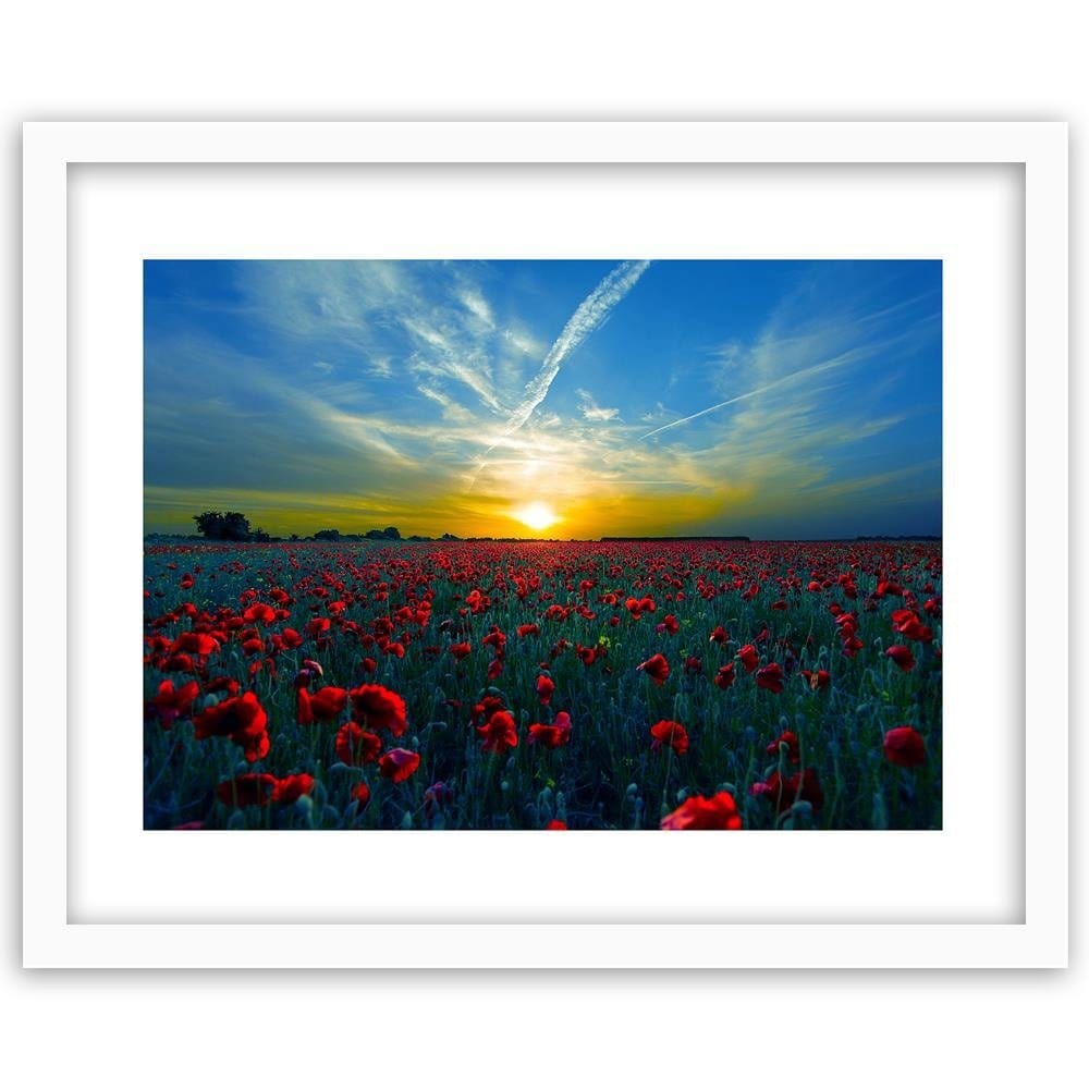 Glezna baltā rāmī - Field Of Red Poppies  Home Trends DECO
