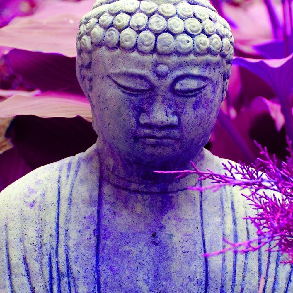 Glezna baltā rāmī - Figure Pensive Buddha  Home Trends DECO