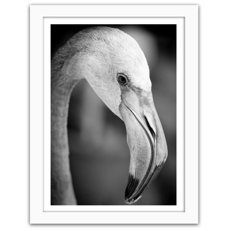 Glezna baltā rāmī - Flamingo in black and white  Home Trends DECO