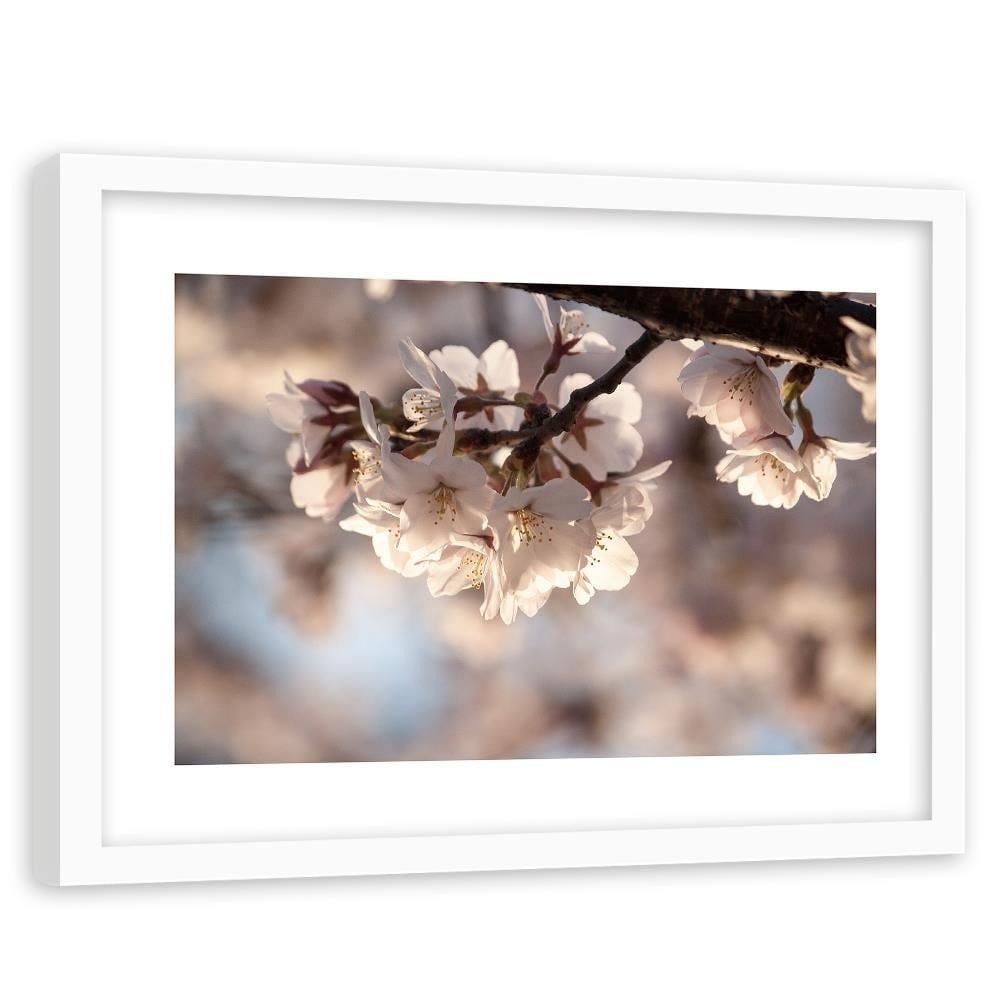 Glezna baltā rāmī - Flowering Cherry  Home Trends DECO