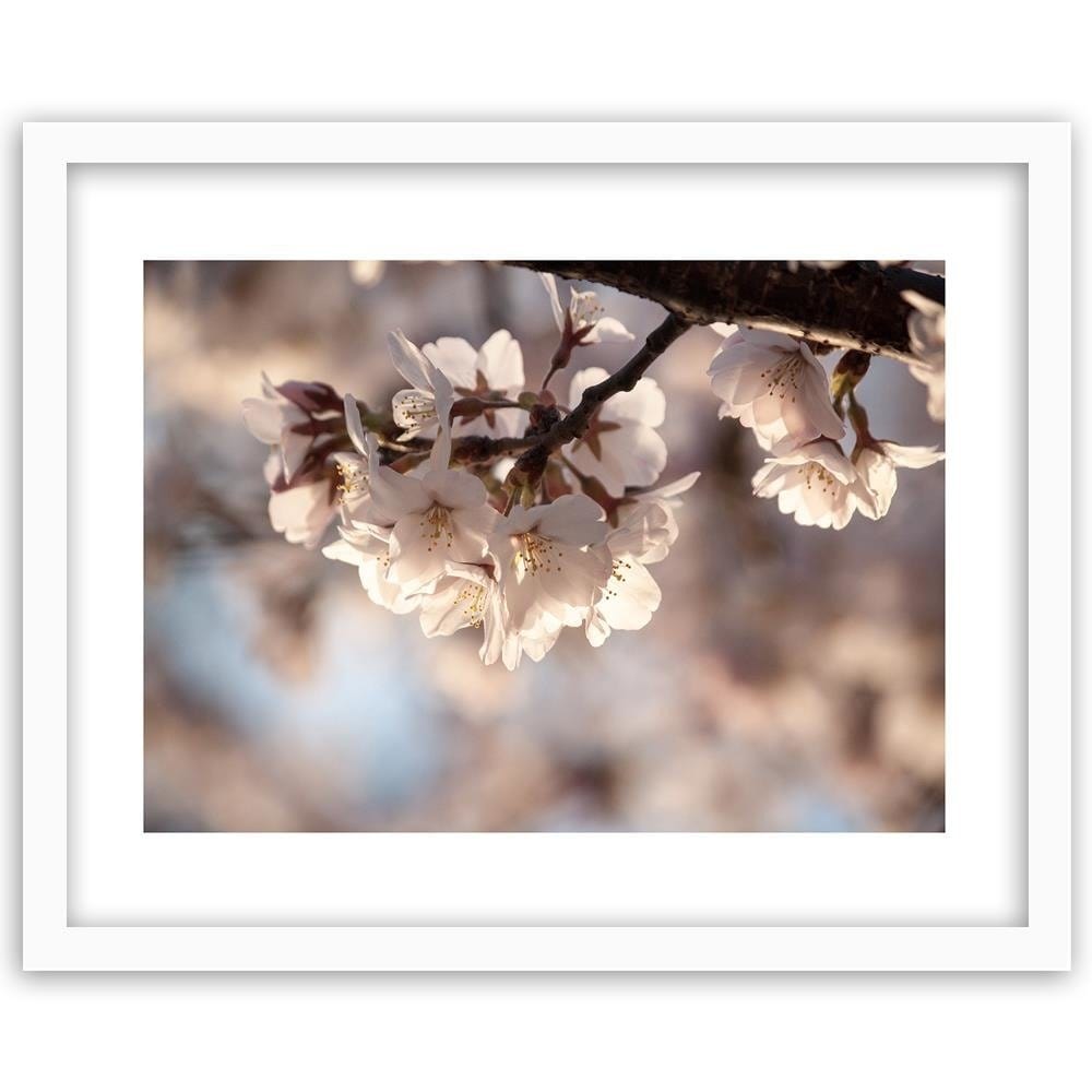 Glezna baltā rāmī - Flowering Cherry  Home Trends DECO