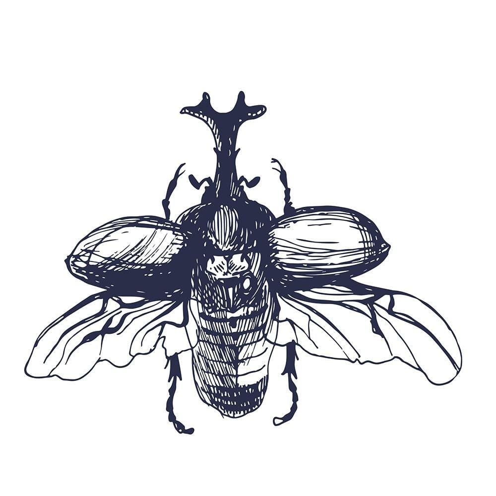 Glezna baltā rāmī - Flying Beetle  Home Trends DECO