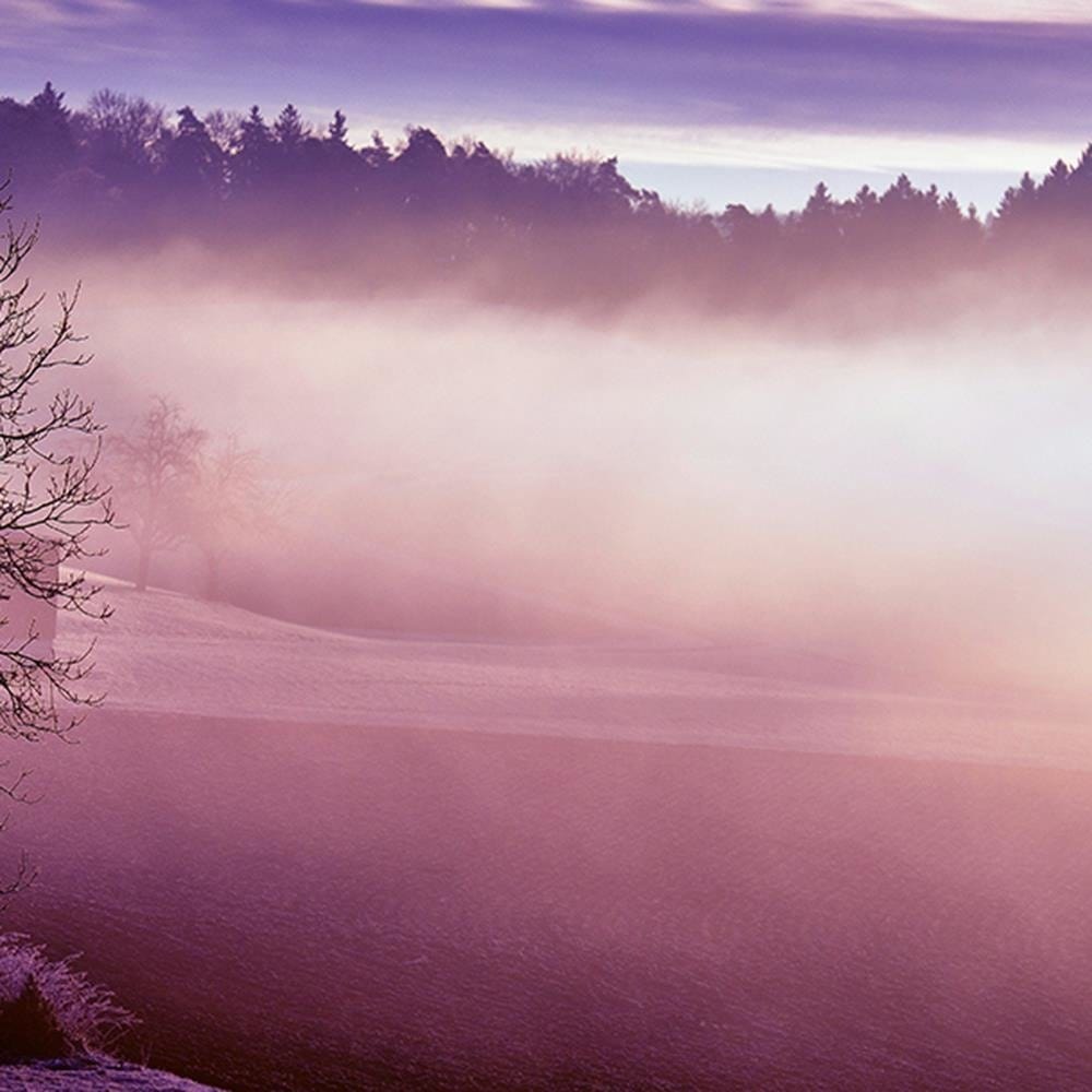 Glezna baltā rāmī - Fog On The Lake 4  Home Trends DECO