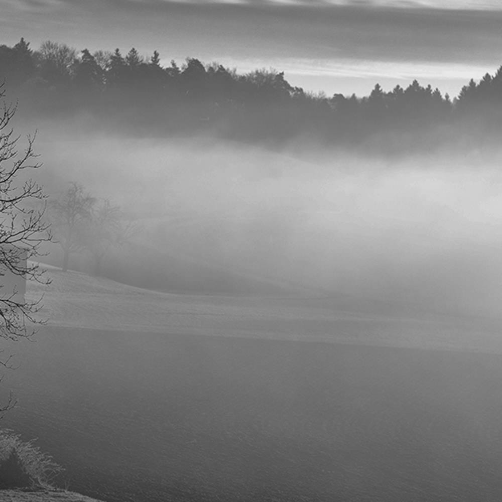 Glezna baltā rāmī - Fog Over The Lake 2  Home Trends DECO
