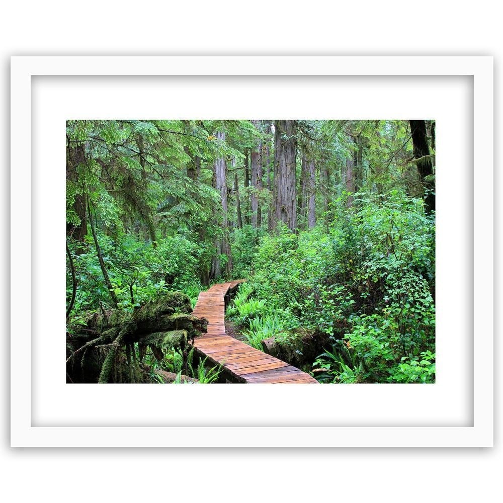 Glezna baltā rāmī - Footbridge In The Forest  Home Trends DECO
