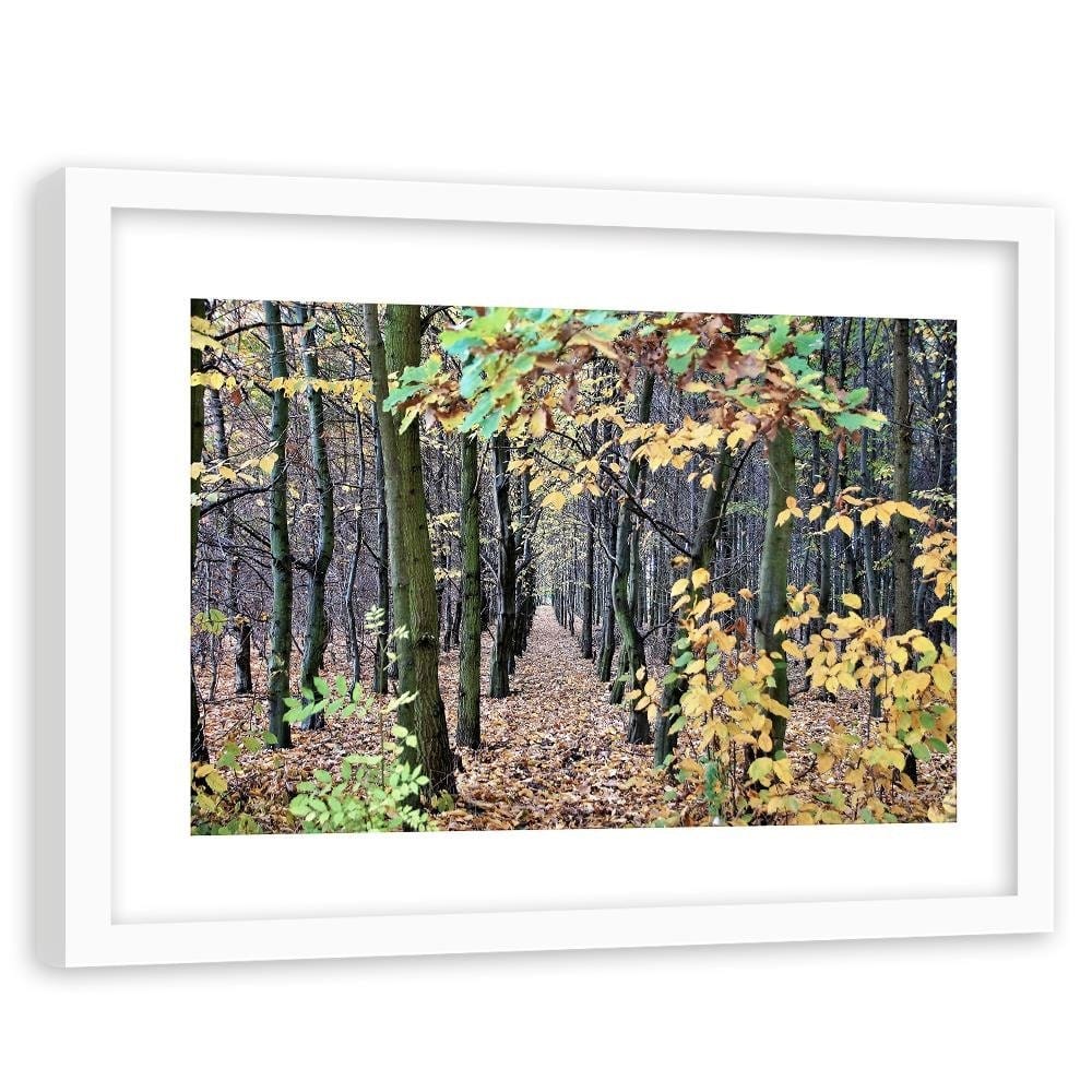 Glezna baltā rāmī - Forest Alley  Home Trends DECO