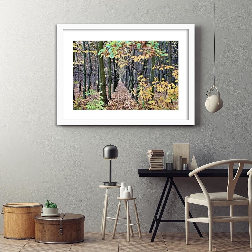 Glezna baltā rāmī - Forest Alley  Home Trends DECO