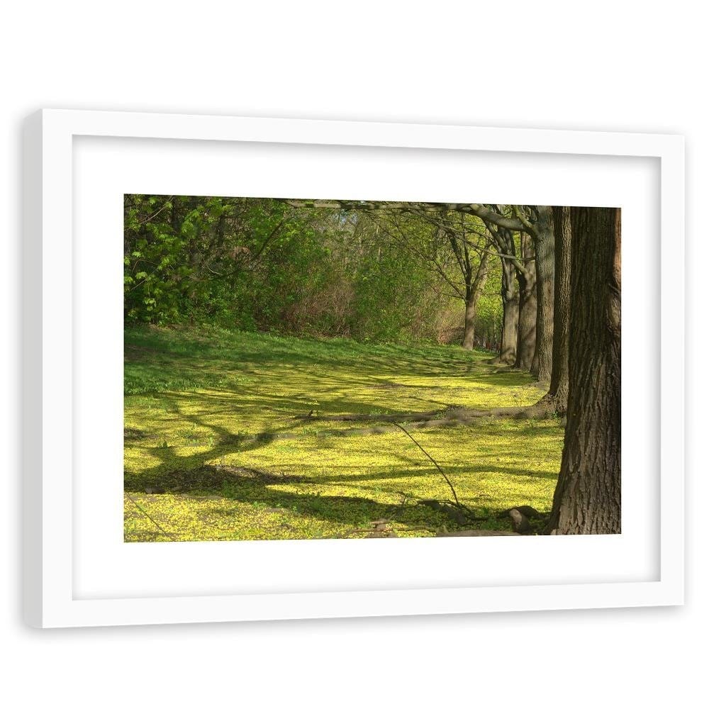 Glezna baltā rāmī - Forest Clearing  Home Trends DECO