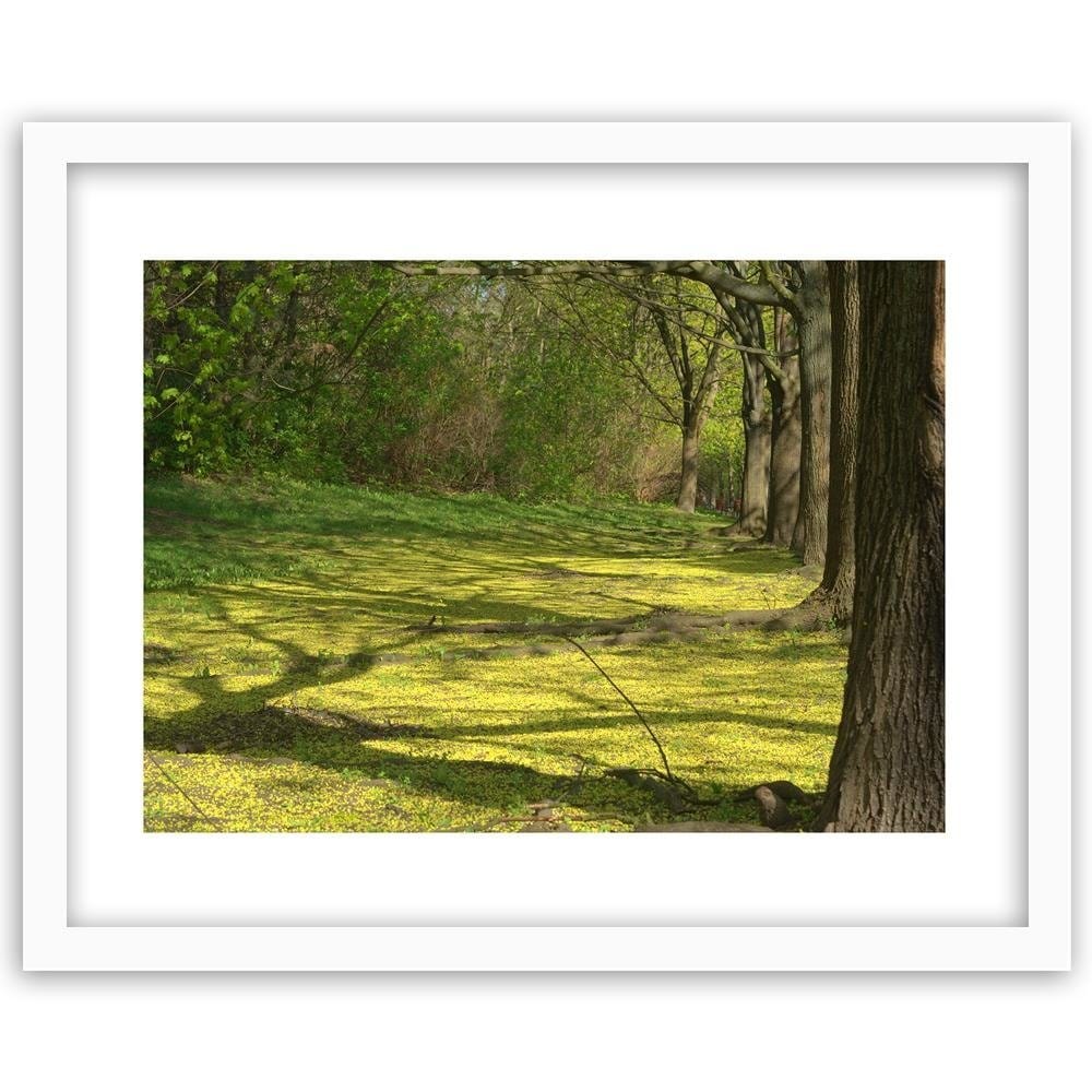 Glezna baltā rāmī - Forest Clearing  Home Trends DECO